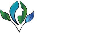 Naturlig Hormon Balanse